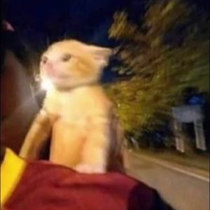 Meet your Posher, Burak